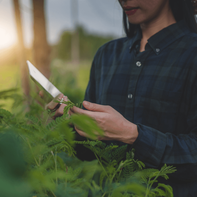 Thumbnail ©Adobstock Suriyo Asian Women Using Tablet Checking Smart Farmer In Farm Smart Technology