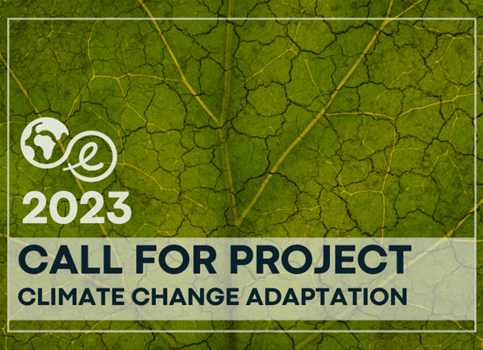 Call For Project Site Web 2023