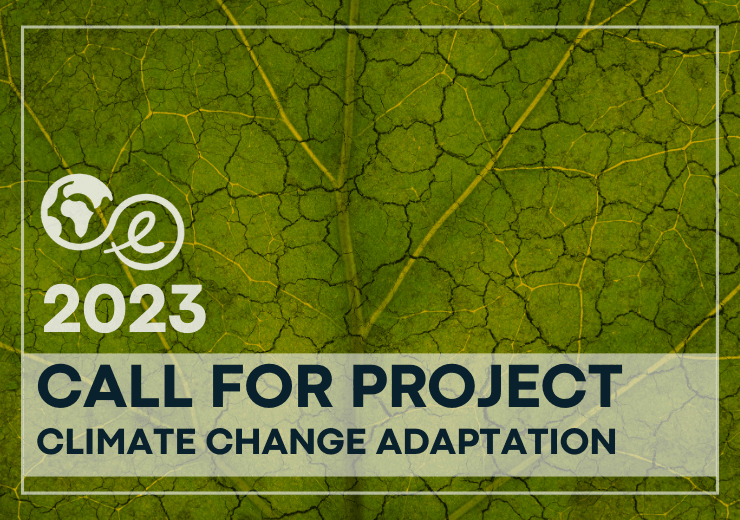 Call For Project Site Web 2023