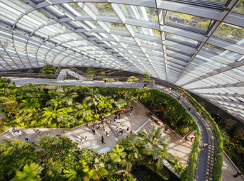 ©Adobstock Filedimage Gardens By The Bay In Singapore (1)