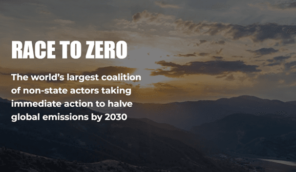 Image web site Race to Zero